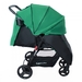 Прогулочная коляска CARRELLO MAESTRO