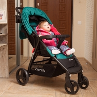 Прогулочная коляска CARRELLO MAESTRO