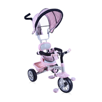 Детский велосипед Lorelli (Bertoni) B313A