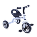 Детский велосипед Lorelli (Bertoni) A28